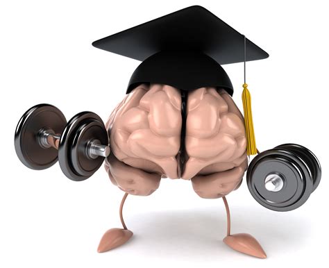 New Study Shows Brain Boot Camp Can Help You Grow Bigger Smarter