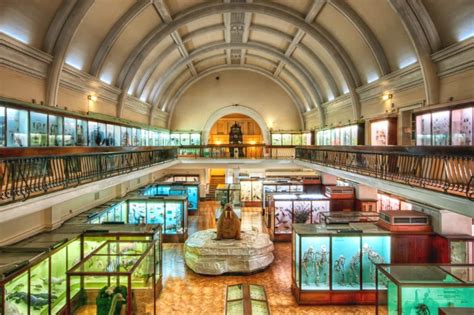 Unusual Museums In London From Wunderkabinetts To Time Capsules
