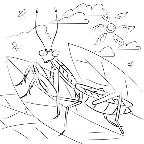 Praying Mantis Coloring Page Colouringpages