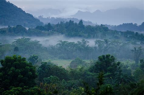 Panama Leads Rainforest Nations The Panama Perspective