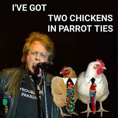 Pin By Meyer Hatchery On Backyard Chickens Misheard Lyrics Funny