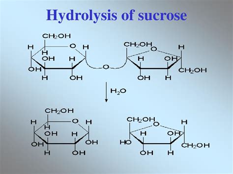 Hydrolyse Saccharose Hydrolyse Acide Saccharose F88 F99