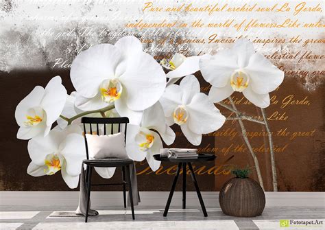 Wall Murals Flowers Orchids On Vintage Background With Text