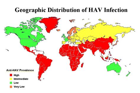 Hepatitis A Virus Hepatitis A Virus Infection Hav Infection