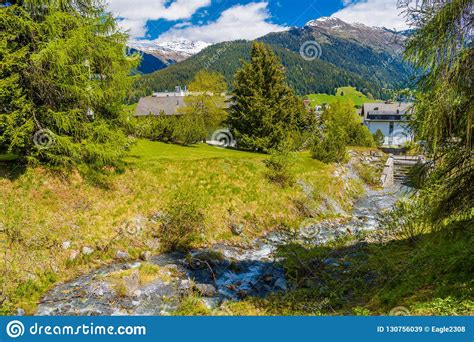 Stone River In Forest Of Alps Mountains Davos Graubuenden