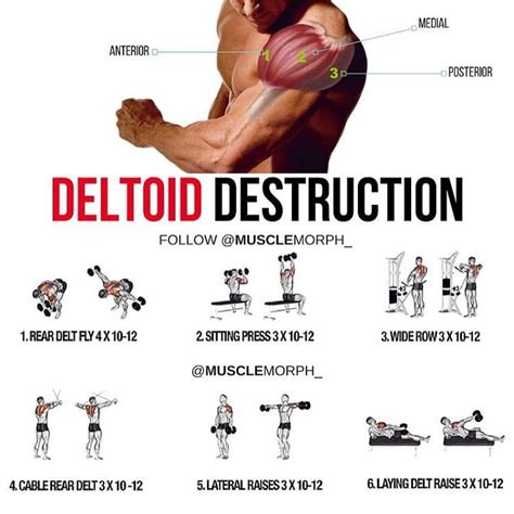 Want 3d Deltoids Try This Workout Save It And Use It At The Gymlike And Follow Musclemo
