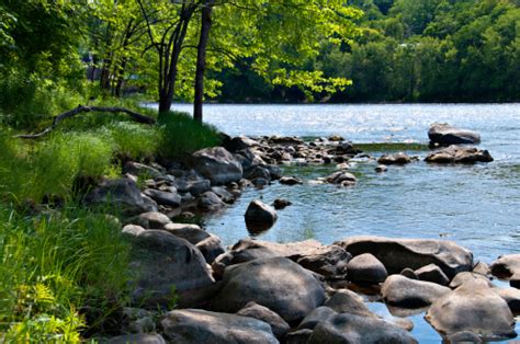 Beautiful Riverbank Stock Photo And More Pictures Of Beauty In Nature