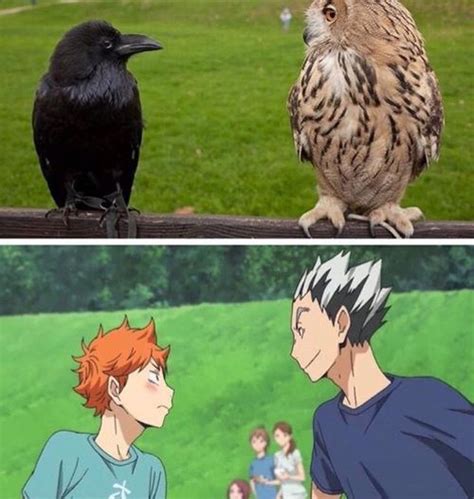 Crow And Owl Manga Haikyuu Manga Anime Anime Ai Haikyuu Meme Haikyuu