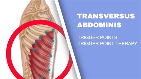 Abdominal Pain Ibs And Trigger Points An Overview Youtube