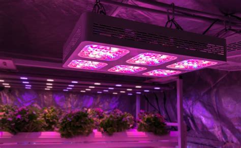 Excellent service · huge selection · name brands · free shipping Mars Hydro 300W LED Grow Light Review: Things You should ...