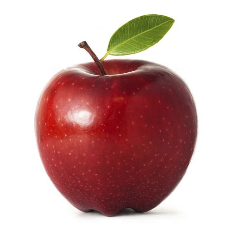 Apple Persian Red