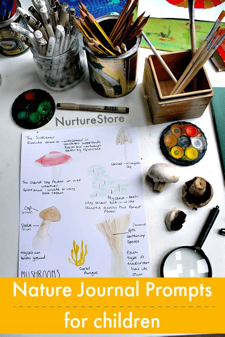 Free Printable Nature Journal Pages For Kids Nurturestore