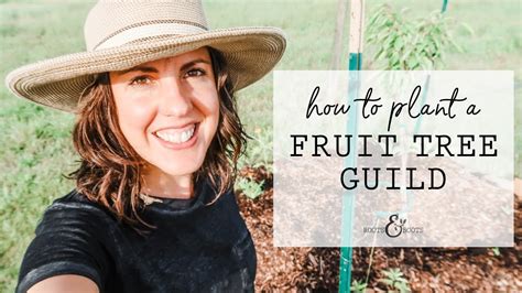 How To Plant A Fruit Tree Guild Youtube