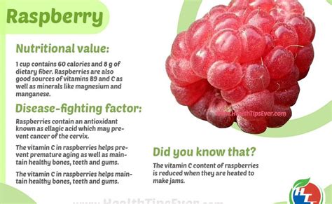 Health Benefits Of Raspberry With Infographics Health Tips Ever Magazine