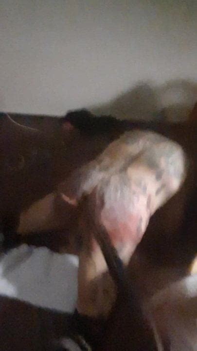 skinhead slave skinheadbiker gets its ass strapped xhamster