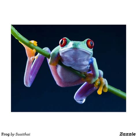 Frog Postcard Zazzle Frog Illustration Frog Art Frog