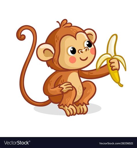 The Monkey On A White Background Eats A Banana Vector Image Monkey