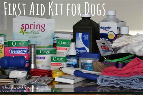 Make Your Own Dog First Aid Kit