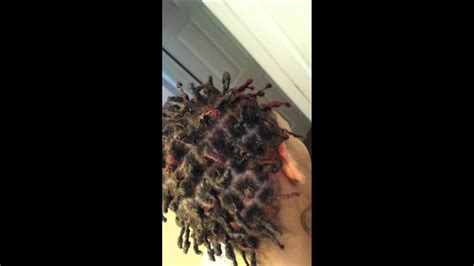 Show off your dyed hair: Short dreadlocks red dye tips - YouTube