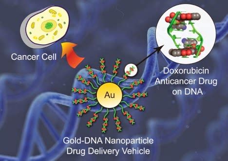 Current Researches In Cancer Treatment.: Nano Gold Particles In Cancer