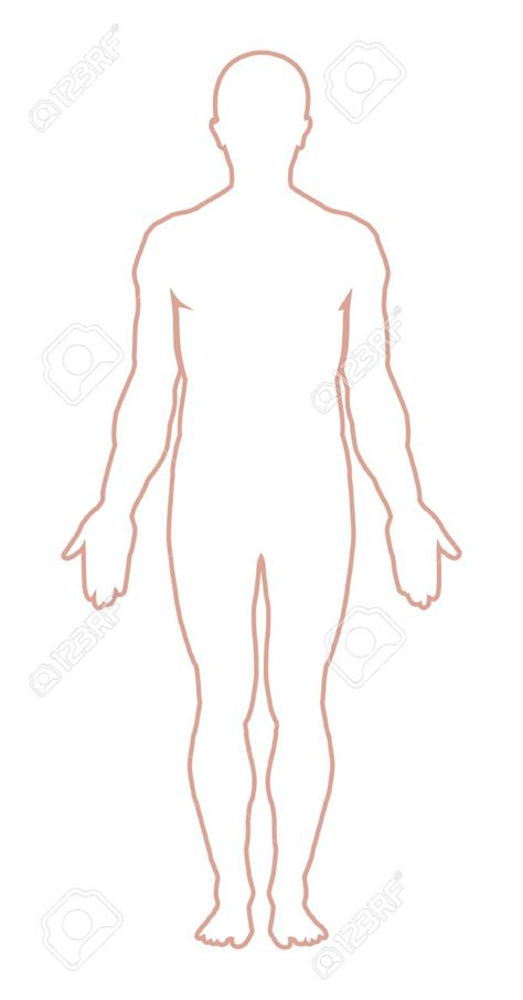 Human Body Outline Clipart Male 20 Free Cliparts