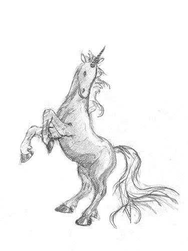 Unicorn Pencil Drawing Pencil Drawings