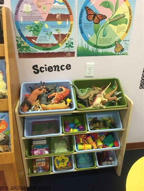 You can use your real name, but you can also choose one based on an. Pre-K classroom set up. Science shelf | Science center ...