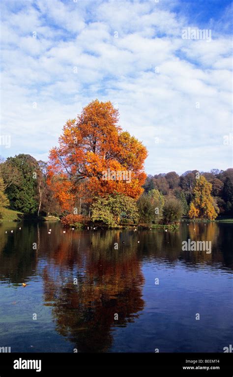 Autumn Colours In Stourhead Gardens A Large Estate Owned By The
