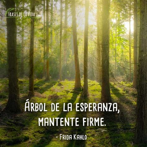 Frases De Arboles Para NiÃos sowin