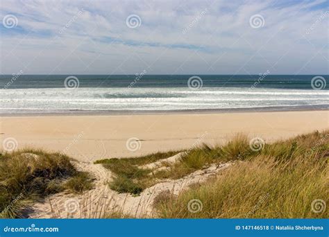 Calm Panoramic Seaside With Beach And Grass Peaceful Ocean Landscape