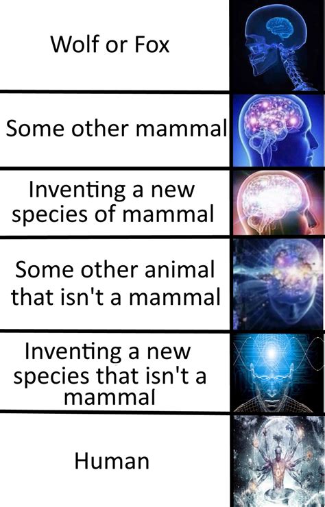 Picking A Fursona Species I Know The Brain Meme Is Stale But It Fit