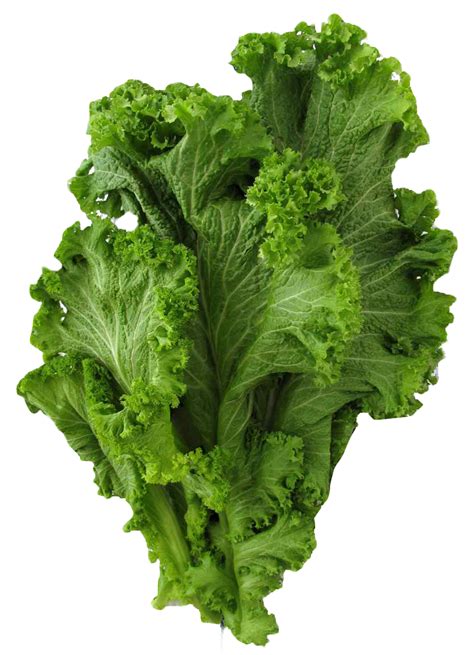 Png Aesthetic Mustard Greens Free Png Png Images Lettuce Stuffed