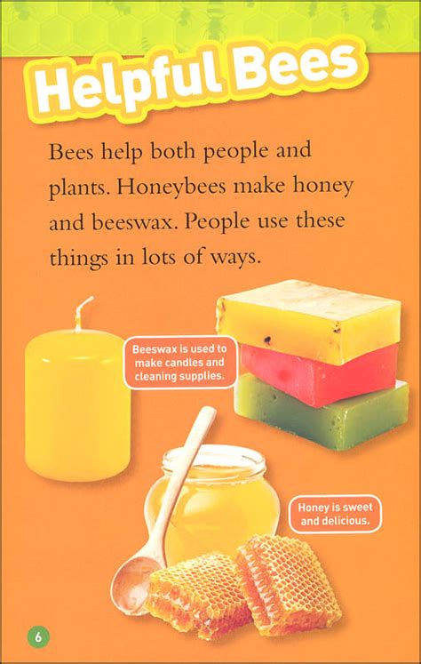 Bees National Geographic Reader Level 2 National Geographic Kids