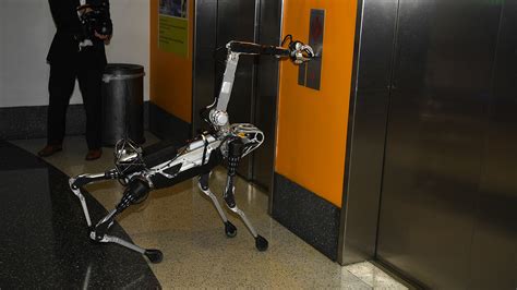 Watch Boston Dynamics Robot Dog Taught To Open Doors Wpxi