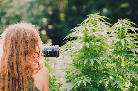 Creating And Leveraging Quality Cannabis Photography