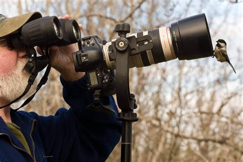 Top 5 Best Camera For Wildlife Photography In 2021 Fortravelista