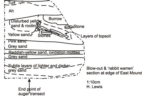 Schematic Drawing Of The Rabbit Warren Section On The Edge Of The