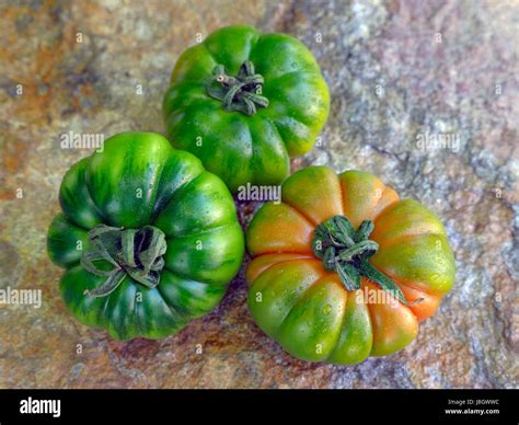 Various Marinda Tomatoes From Sicily Stock Photo Alamy