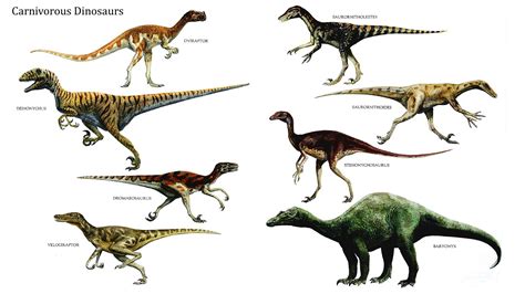 Carnivorous Dinosaurs Carnivore Dinosaurs