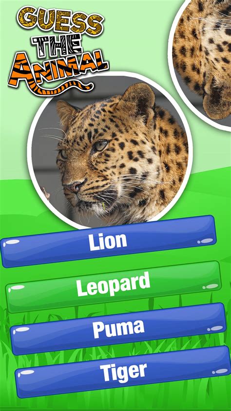 Guess The Animal Quiz Games Animal Trivia Games For Android Apk