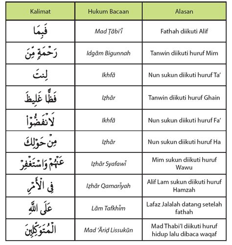 Surat Ali Imran Ayat 159 Dan Artinya Lasopaemail