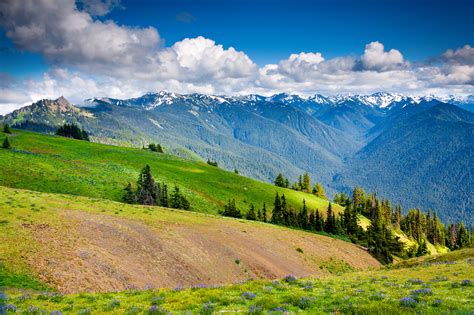 Top Wow Spots Of Olympic National Park Sunset Magazine