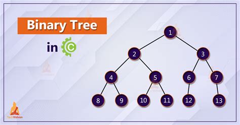 Binary Tree In C Types And Implementation Techvidvan