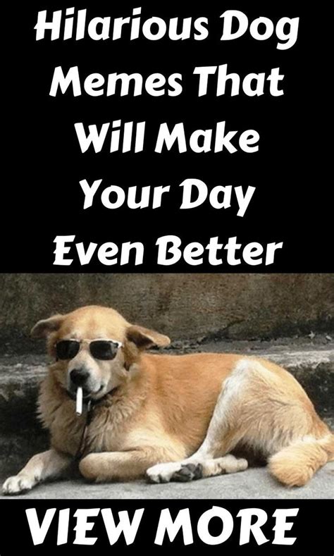 Hilarious Dog Memes That Will Make Your Day Even Better in 2020 ...