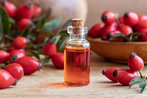 rosehip oil methods to prevent hair loss skin care top news