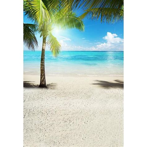 Seaside Scenic Photography Beach Backdrops Palm Tree Sunshine Blue Sky