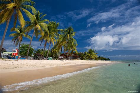 Guadeloupe Islands So French Undeniably Caribbean Island Island Beach Caribbean