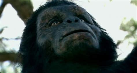 Australopithecus Afarensis Documentary Ape To Man Apes