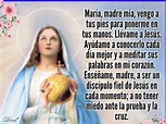 God Prayer, Spanish Quotes, Prayers, Joy, Wealth, Saints, Blessed ...