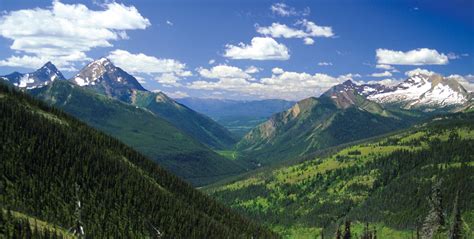 Highway Mitigation From The Pass To The Elk Valley Wildsight